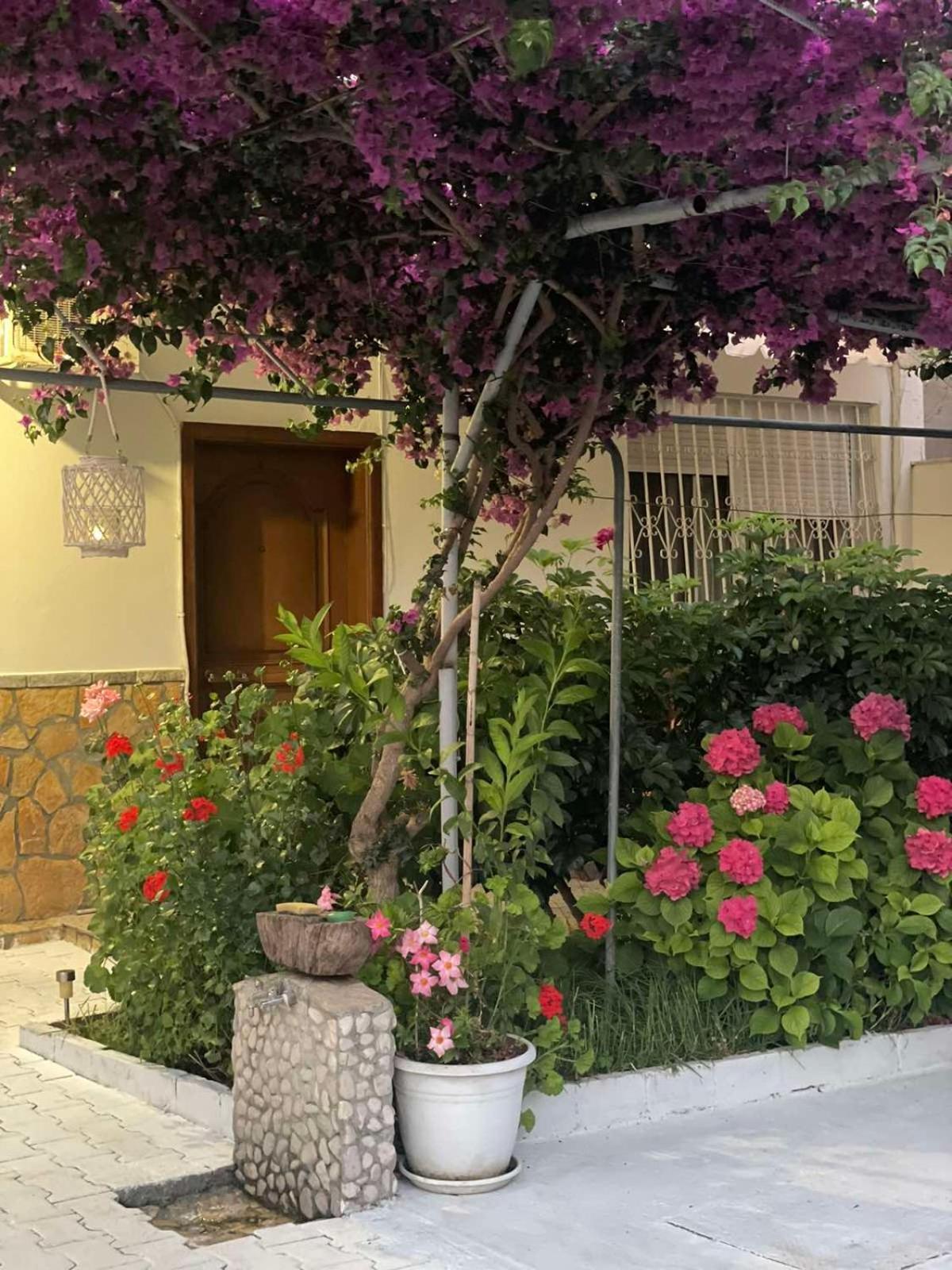 Apartments Athina Orikum Εξωτερικό φωτογραφία
